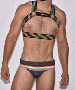 Love Mode Battysta brief swimsuit