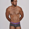 BOXER CORTO MICROFIBRA GRIS BETEADO LILA